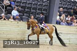 23R13_10027 thumbnail