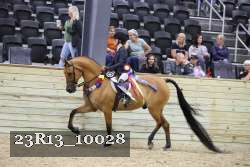 23R13_10028 thumbnail