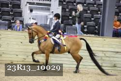 23R13_10029 thumbnail