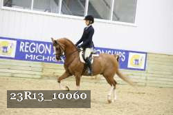 23R13_10060 thumbnail