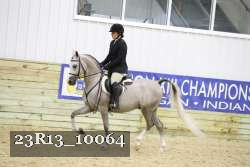 23R13_10064 thumbnail