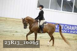 23R13_10065 thumbnail