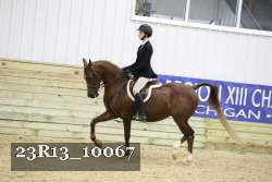 23R13_10067 thumbnail