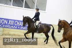 23R13_10068 thumbnail