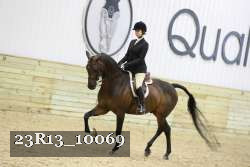 23R13_10069 thumbnail