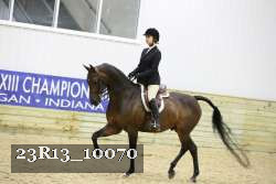 23R13_10070 thumbnail