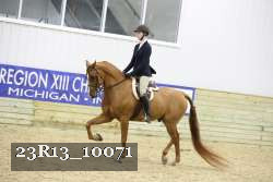 23R13_10071 thumbnail