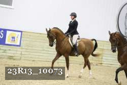 23R13_10073 thumbnail