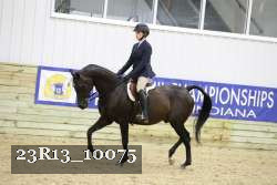 23R13_10075 thumbnail