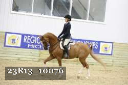 23R13_10076 thumbnail