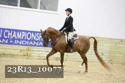 23R13_10077 thumbnail