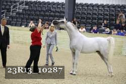 23R13_10287 thumbnail