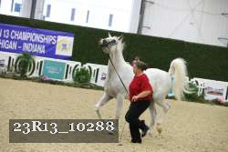 23R13_10288 thumbnail