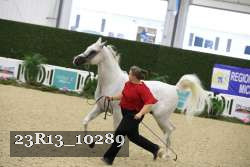23R13_10289 thumbnail