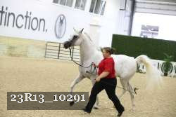 23R13_10291 thumbnail