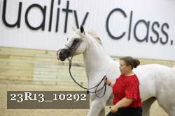 23R13_10292 thumbnail