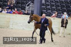 23R13_10294 thumbnail