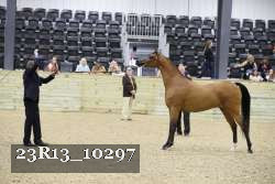 23R13_10297 thumbnail