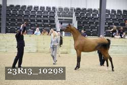 23R13_10298 thumbnail