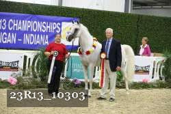23R13_10303 thumbnail