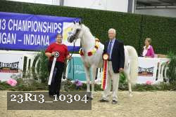 23R13_10304 thumbnail
