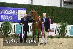 23R13_10309 thumbnail