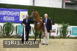 23R13_10310 thumbnail