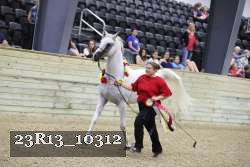 23R13_10312 thumbnail