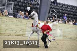 23R13_10313 thumbnail