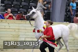 23R13_10315 thumbnail
