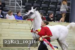23R13_10316 thumbnail
