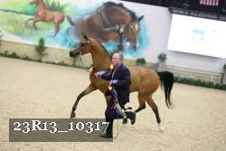 23R13_10317 thumbnail