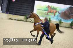 23R13_10318 thumbnail