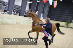 23R13_10319 thumbnail