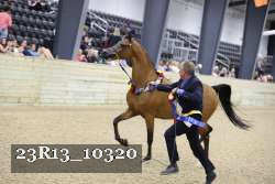 23R13_10320 thumbnail