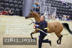 23R13_10322 thumbnail
