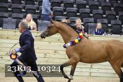 23R13_10324 thumbnail