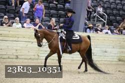 23R13_10351 thumbnail