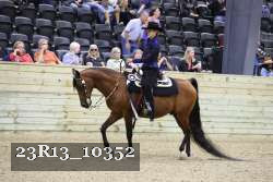 23R13_10352 thumbnail