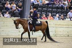 23R13_10354 thumbnail