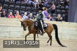 23R13_10356 thumbnail
