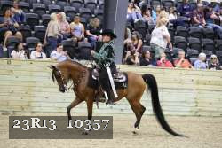 23R13_10357 thumbnail
