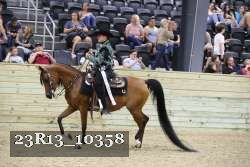 23R13_10358 thumbnail