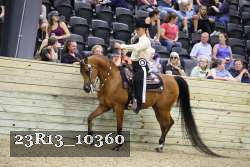 23R13_10360 thumbnail