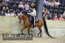 23R13_10361 thumbnail