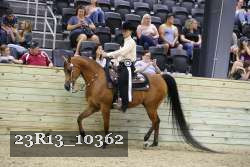 23R13_10362 thumbnail