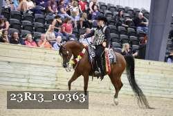 23R13_10363 thumbnail