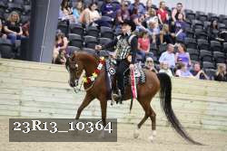 23R13_10364 thumbnail