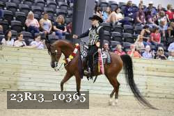 23R13_10365 thumbnail