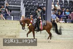 23R13_10367 thumbnail